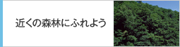 近くの森林にふれよう