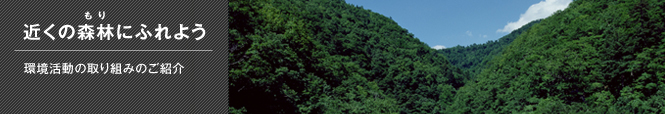 近くの森林にふれよう