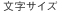 文字サイズ大