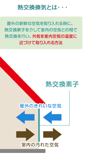 スタッフ紹介