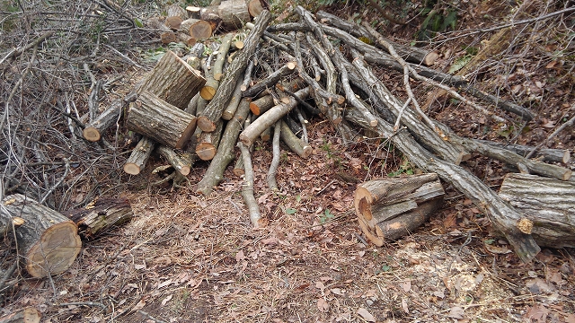 今日の出来事 富山の暮らしを楽しむ木の家造り 頼成工務店