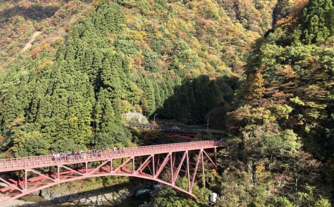 旅のたより・・。富山の紅葉シーズンを愉しむ