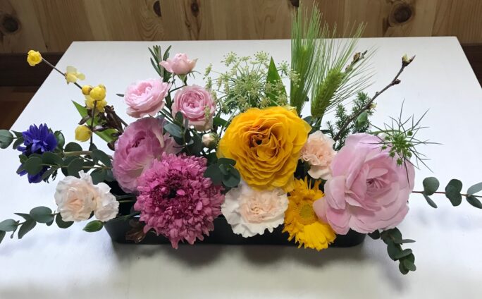 　富山とくらす　　春の花を楽しむ　カルチャー開催開催　２月２０日（日）ＡＭ１０時～　　