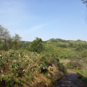 富山と暮らす。森林にふれよう！下見に出かけました。