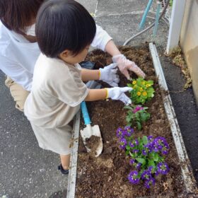 花苗植え体験