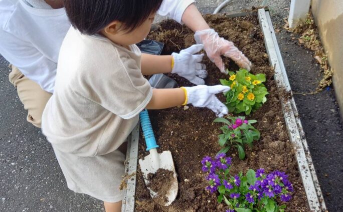 花苗植え体験