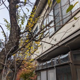 富山と暮らす　高岡の家