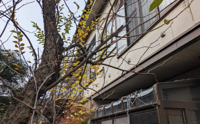 富山と暮らす　高岡の家