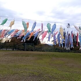 第４９回森林にふれよう　４月１８日に開催！